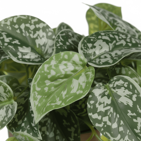 Scindapsus kunstig plante hengende grønn med potte - Lindas Dekor Kunstige planter