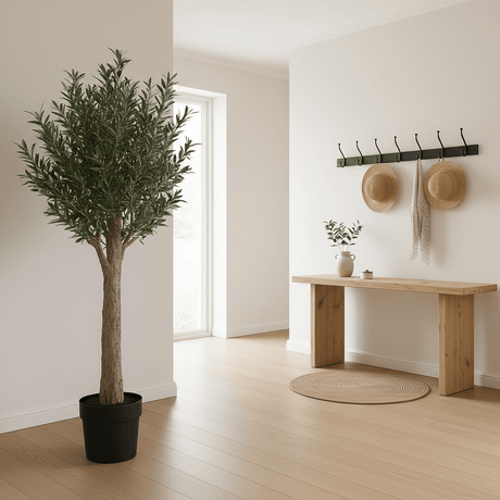 Dekorativt oliventre i potte til hjem, kontor og styling