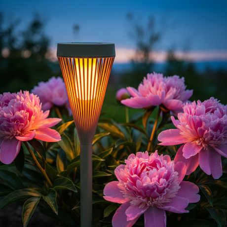 Green solar flame light peonies