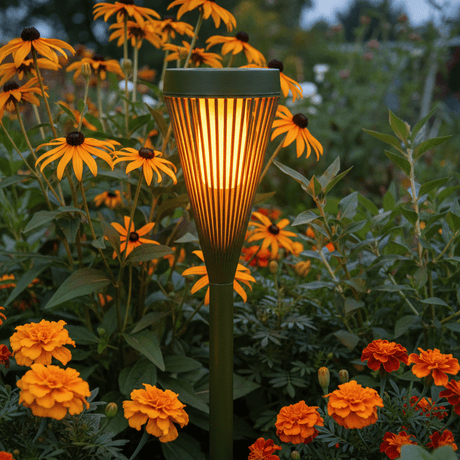Green solar flame light rudbeckia