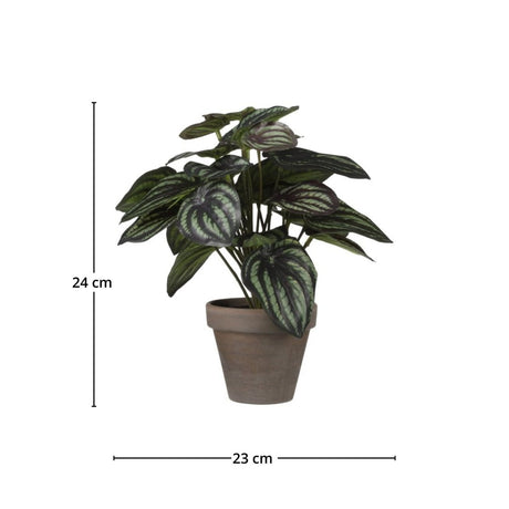 Peperomia kunstig plante grønn grå med potte - Lindas Dekor Kunstige planter