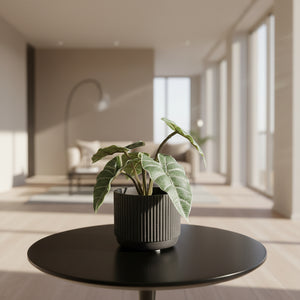 Blomsterpotte keramikk stripet svart og brun, 11 cm liten potte for innendørs planter