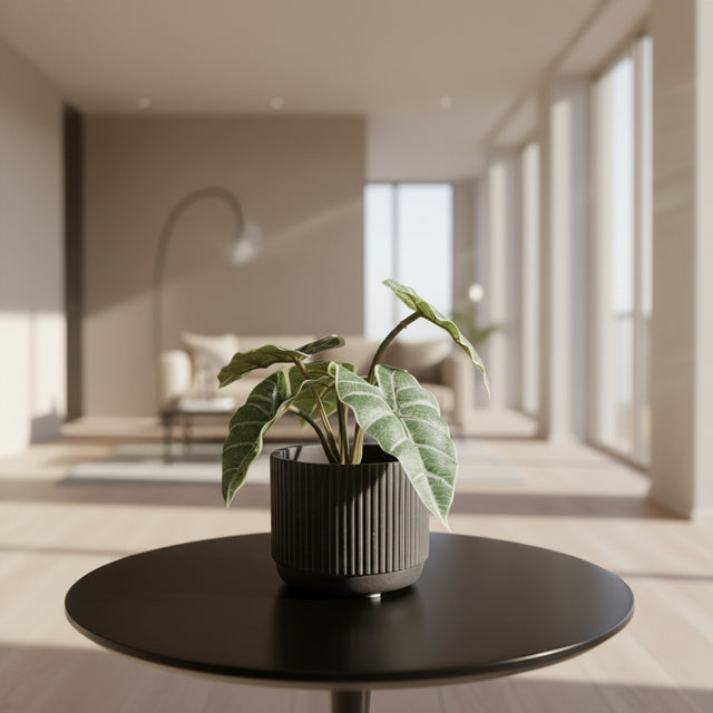 Blomsterpotte keramikk stripet svart og brun, 11 cm liten potte for innendørs planter