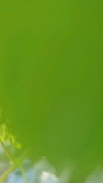 Beige sengesett med broderi fra Halvor Bakke