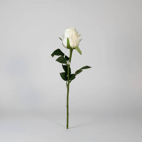 Mr. plant rose hvit - Lindas Dekor