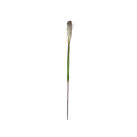 Kunstig pampasgress fra Mr. Plant med naturtro, lys dusk og grønne blader.