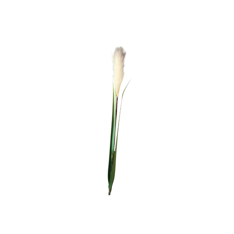 Mr. plant pampasgress 122 cm - Lindas Dekor