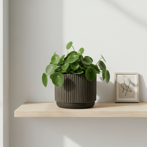 Blomsterpotte Keramikk Svart/Brun Liten - Lindas Dekor