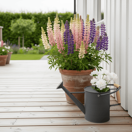 Dekorativ mørk grå vannkanne plassert på en lys treterrasse sammen med blomster og grønne planter. - Lindas dekor 