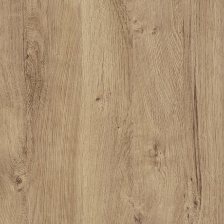 Ribbeck oak kontaktplast detalj – realistisk eik med naturlig trestruktur
