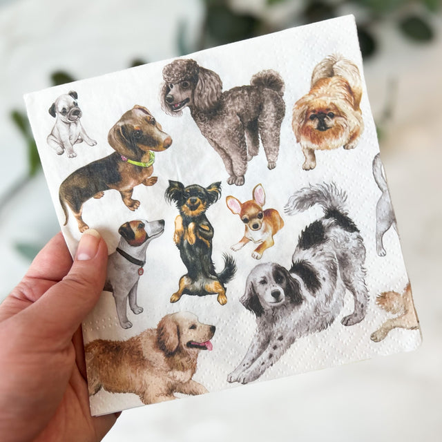 Hånd som holder en serviett med hundemotiv i ulike raser og farger.
